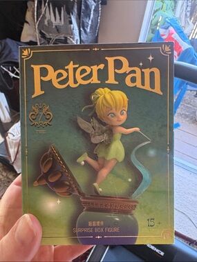 Peter Pan Miniso BLIND BOX Surprise Box Figure NIB official